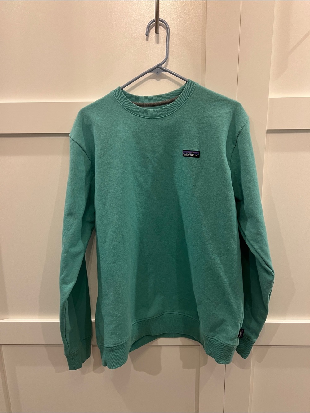 Patagonia Men's Crewneck Sweatshirt - Teal